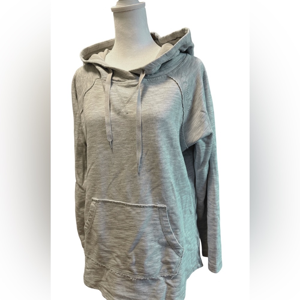 Calvin Klein Hoodie Light gray